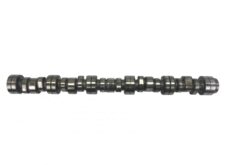 Ax cu came (arbore cu came) pentru Scania 1726075-19