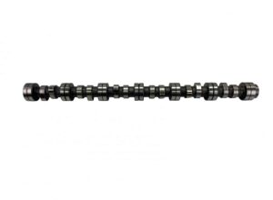 Arbore cu came scania 1748794/1865230