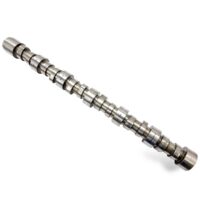 Ax cu came (Arbore cu came) Iveco 5801465702