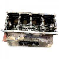 Bloc Cilindri Motor Scania - Coduri: 1513346, 1482538, 1541186, 1739462, 1759340