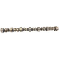 Arbore cu came Scania 1748794 1865230
