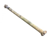 Arbore Cardanic Scania 1758893 1465739