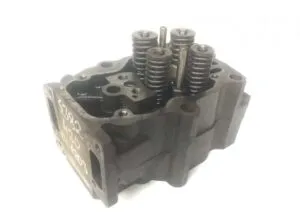 Chiuloasă scania 1448279 13