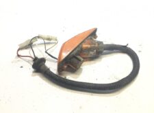Lumina de semnalizare laterală DAF - Coduri 1395361, 1814096, 1815754