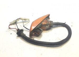 Lumina de semnalizare laterală daf – coduri 1395361, 1814096, 1815754