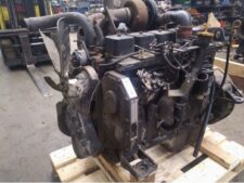 Motor Cummins 6BT 5.9L Second Hand
