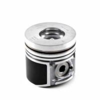 Piston Perkins 3152 4235 4248 T4236 T6354 10310 10315 70430 90317 10066T 1104C44