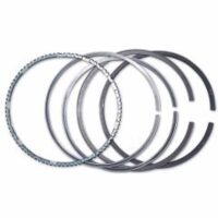 Set Segmenti Liebherr D 924 - Piese Motor