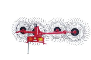 Greblă rotativă maschio fienagione girasole