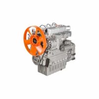Piese de motor pentru LOMBARDINI LDW 2204