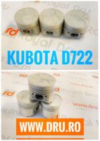 Piston Motor Kubota D722