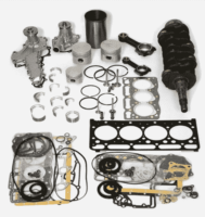 Set complet de piese pentru motor Yanmar