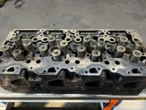 Chiulasa man d0834 lfl 50