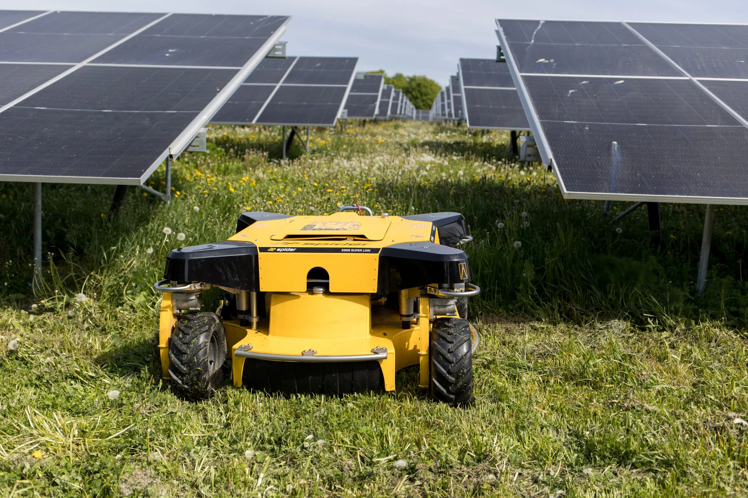 SPIDER 2SGS SUPER LOW